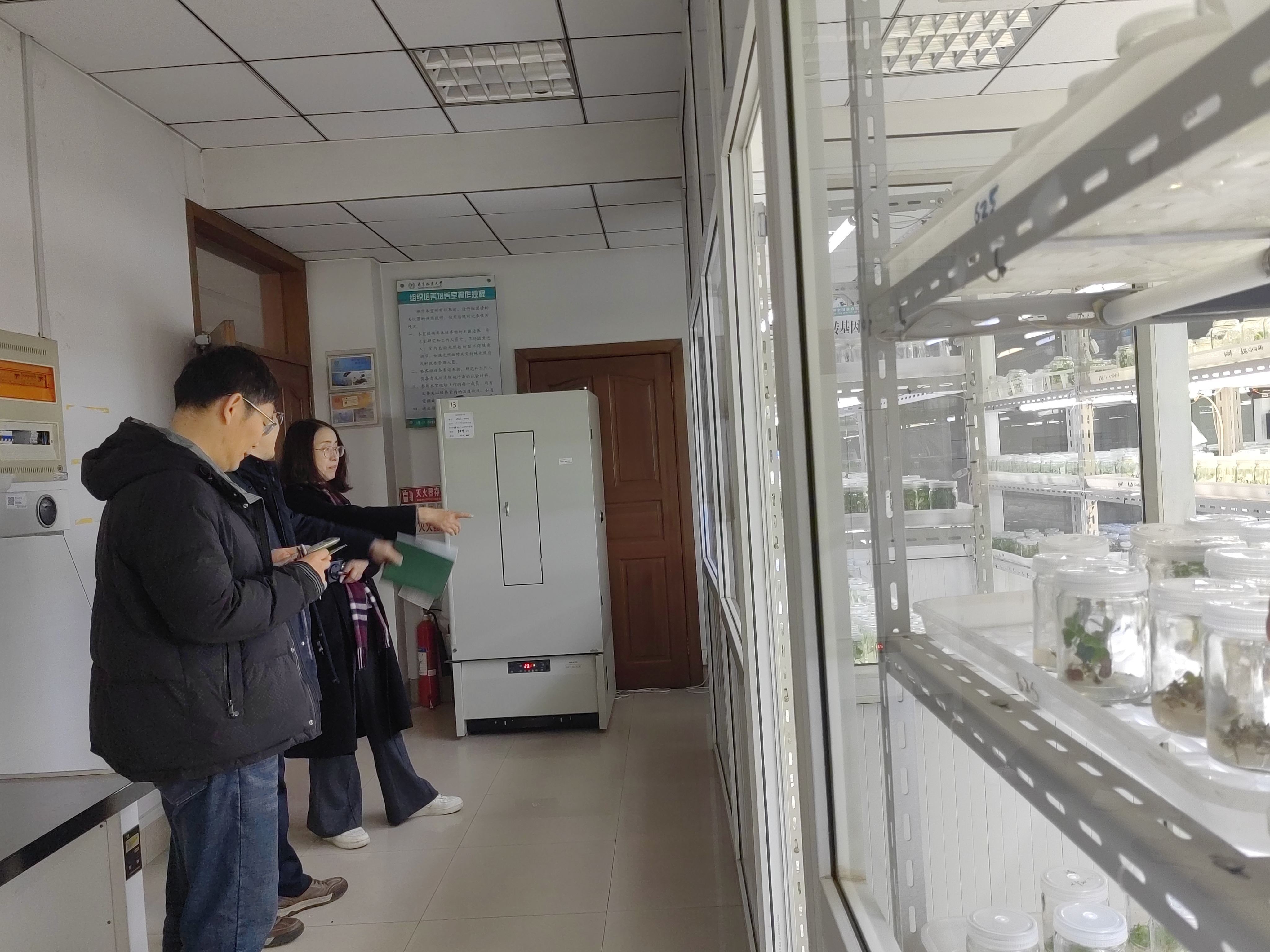 图片2_64389图片2