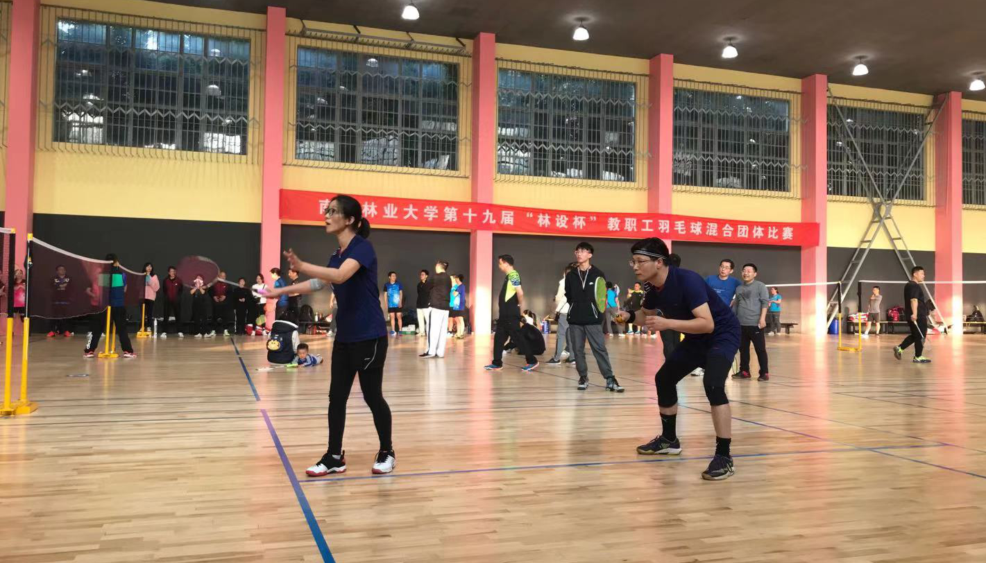 图片6